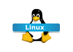 servidor dedicado linux